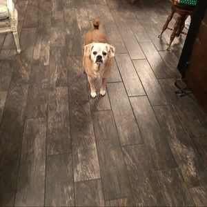 Meet your Posher, Sabrina